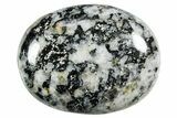1.7" Polished "Zebra Stone" Pocket Stones - Photo 3